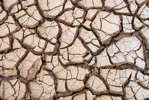 Dry Earth Cracks in Arid Landscape photo