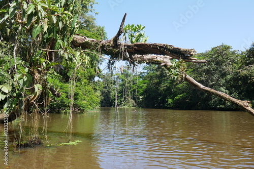 Wilde Wasserlandschaft in Costa Rica bei Tortuguero