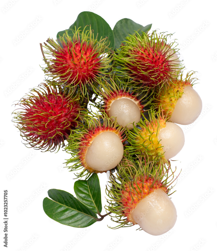 Rambutan isolated on white, Rambutan isolate with clipping path. Rambutan isolated on white, Rambutan isolate with clipping path.