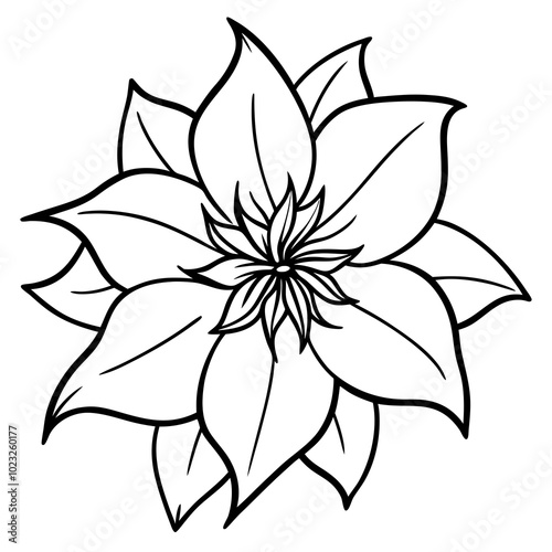 black and white flower