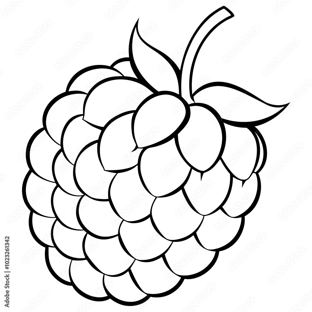 Fresh Raspberry Illustration Vibrant and Detailed Fruit Drawing Fresh Raspberry Illustration Vibrant and Detailed Fruit Drawing