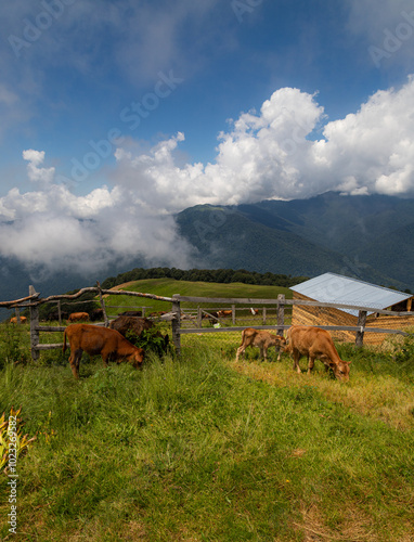 Magnificent views of the mountain village and nature of Azerbaijan