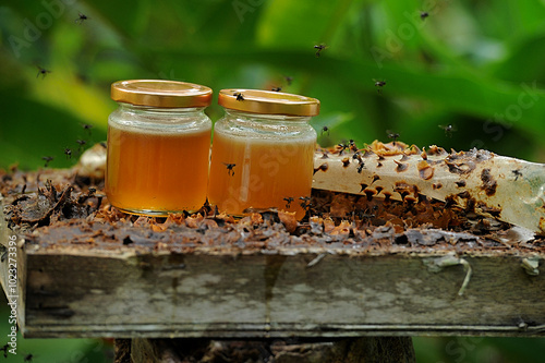 Honey in a bottle with Honeycomb (Kelulut) photo