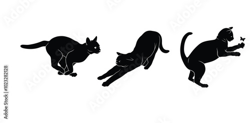 cat illustration design vector white background
