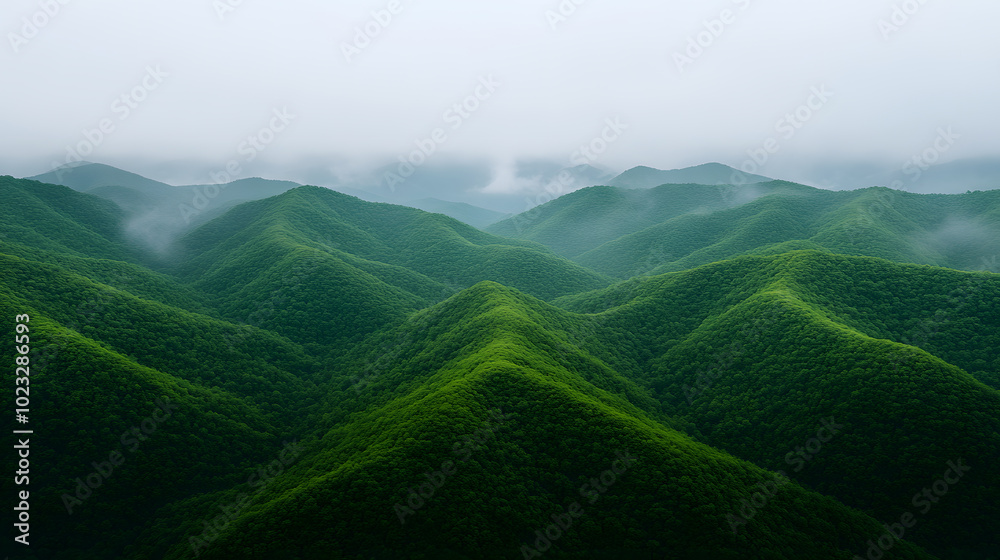 Fototapeta premium Green Mountains and Mist Create a Beautiful Scene | Serene Landscape for Nature Lovers and Outdoor Enthusiasts