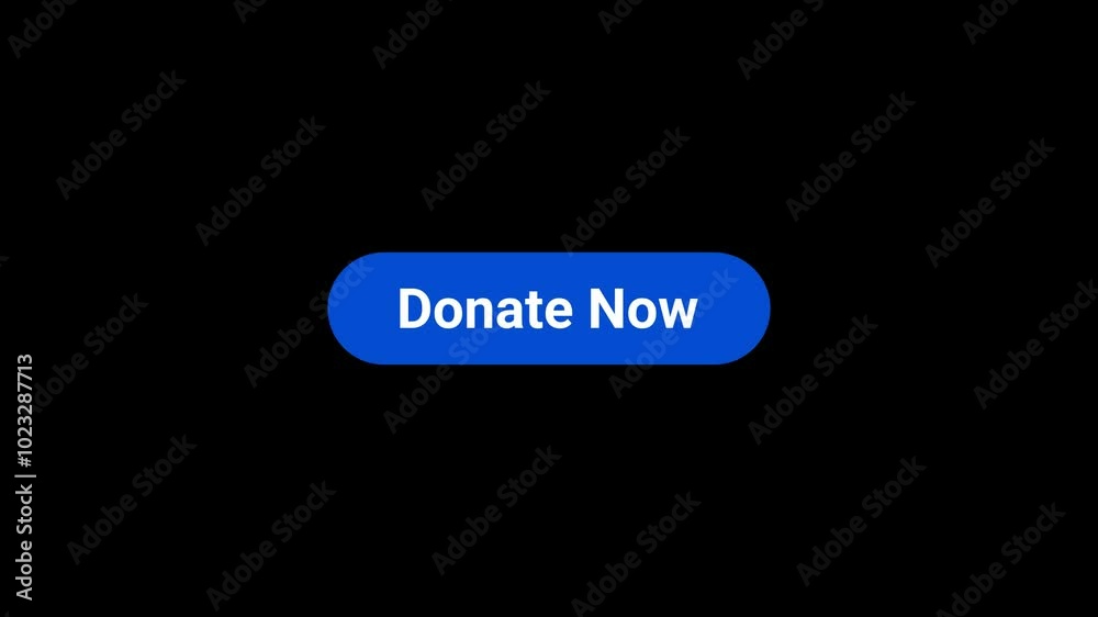 Donate now Call to action Button Animation Donate now Call to action Button Animation