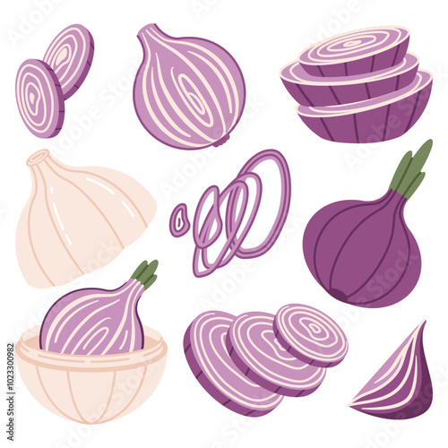 Set of red onion elements. Ring, piece, half and slice of raw bulb. Vector flat illustration.
