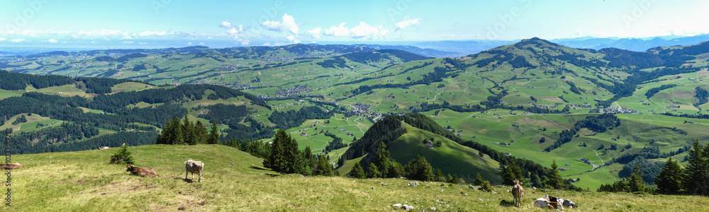 Fototapeta premium Panoramic view from Ebenalp in the Swiss alps