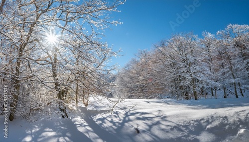 冬の雪景色の風景