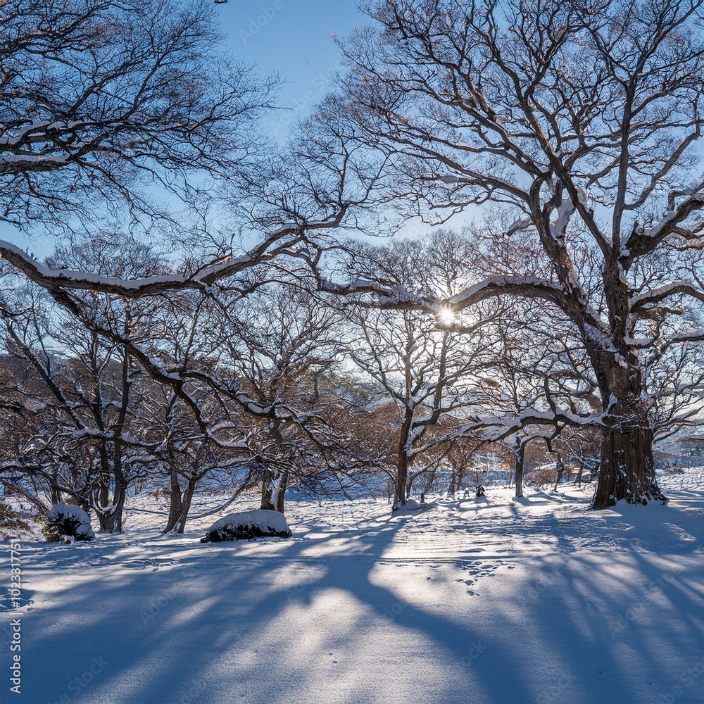 Fototapeta premium 冬の雪景色の風景