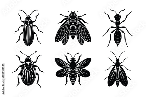 Versatile Insect Silhouette Vector Icons