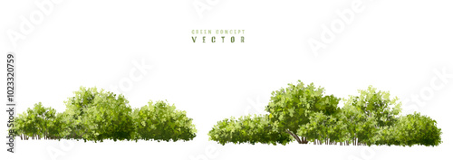  Vector watercolor green  tree or forest side view isolated on white background for landscape and architecture drawing,elements for environment or and garden,Shrub for section