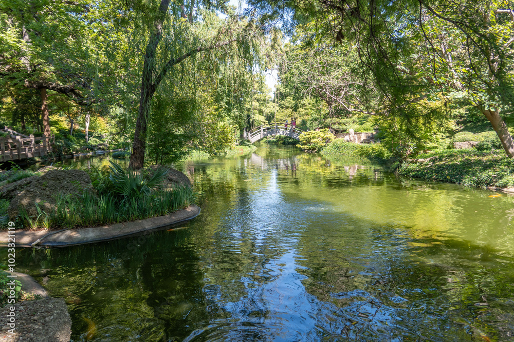 dallas bontical garden dallas bontical garden