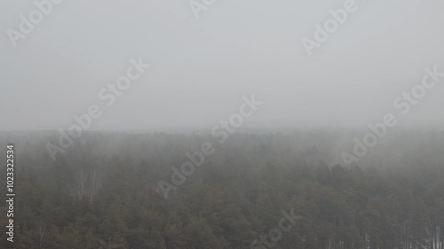 Dense fog over forest