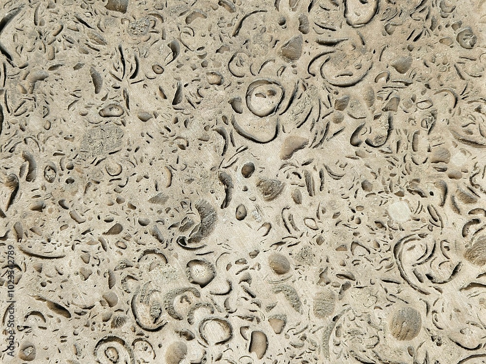 Nature shell stone texture with visible inclusions of shells. Texture of natural shell rock as a background. Close-up. Coquina wall texture. wall in the holes.