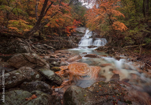 Two-tiered waterfall colored in autumn