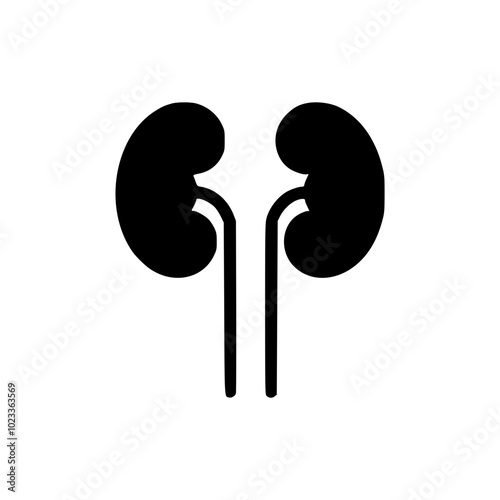 Black silhouette of human kidneys depicted in a simplified and stylized SVG icon on a white background.