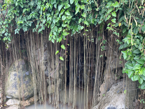 Jungle cave entrance overgrown with vines, dark mystery and adventure concept photo