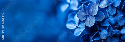 A vibrant close-up of blue flowers, focusing on petals and intricate details, evokes calm and natural beauty.