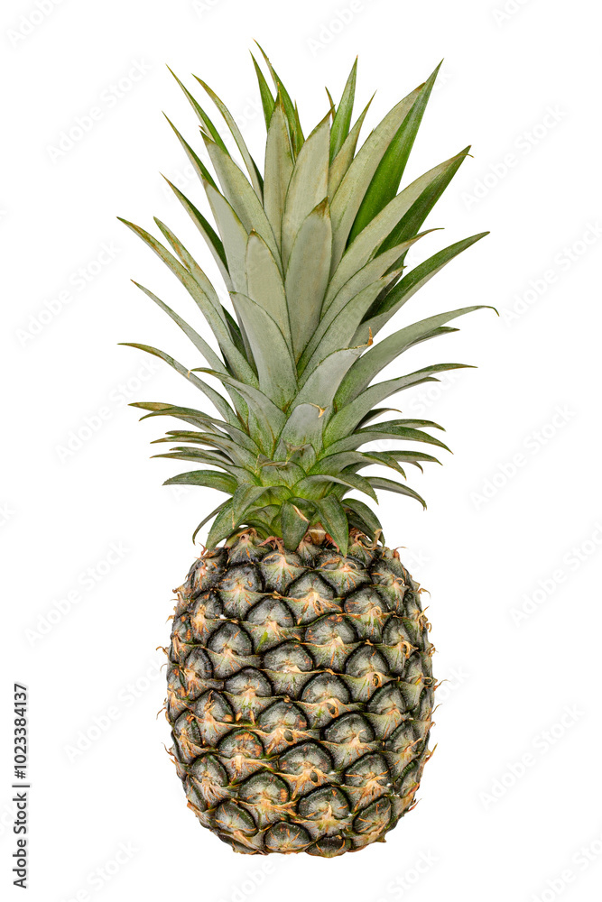 Fototapeta premium Pineapple isolated on white background