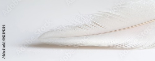 Luxurious white feather texture flowing across the frame, creating a sense of calm and divine inspiration photo