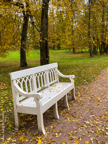 The bench in the autumn park