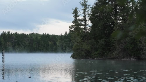 morning fog on a lake 2