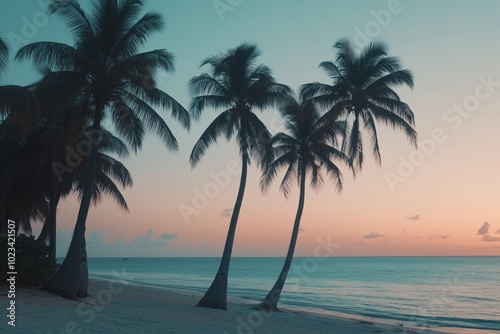 Beach evening with palm trees and vibrant sunset, blue sky fading into orange hues at dusk on Palmeny Island, a summer scene. photo