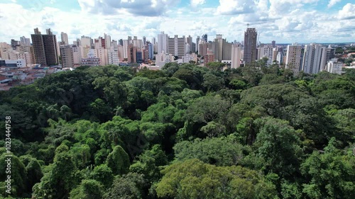 Aerial view of the Cambuí neighborhood in Campinas, São Paulo, Brazil.