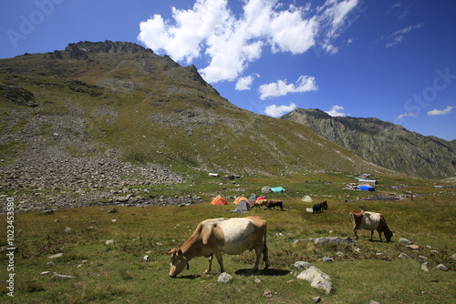 Kaçkar Mountains National Park and mountain lakes