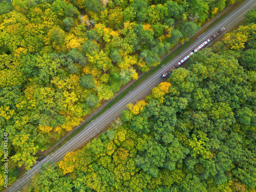 Aerial top view of a commuter train traveling through an autumn forest in the morning; travel by electric train, public transport.