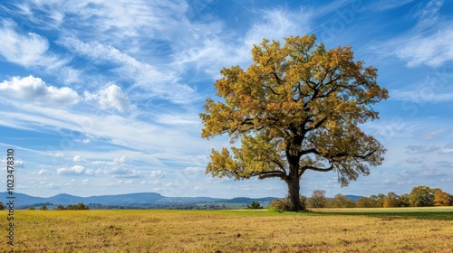 Solitary Tree Against a Cloudy Sky