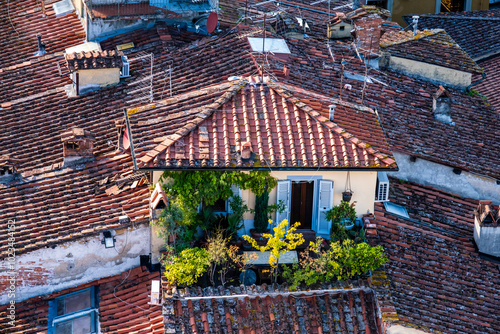 Hausdächer der historischen Stadt Lucca in Italien mit Dachterrassen und Gärten
