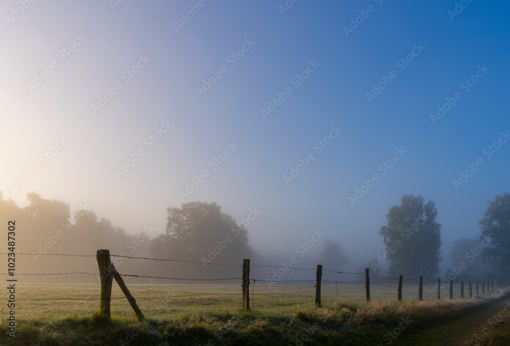 Frühnebel, Landschaft im und am Wittmoor, Norderstedt, Schleswig-Holstein, Deutschland