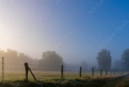 Obraz na płótnie Frühnebel, Landschaft im und am Wittmoor, Norderstedt, Schleswig-Holstein, Deutschland w salonie