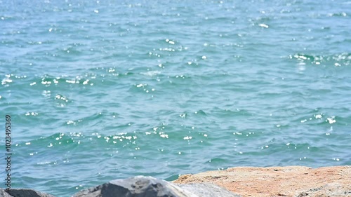 Wallpaper Mural Seascape summer blue sea water at the beach Torontodigital.ca