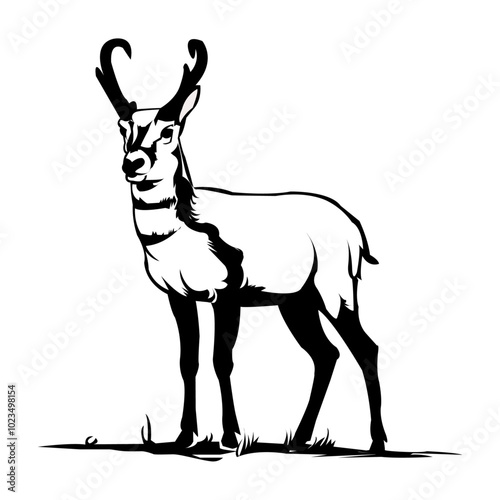 Pronghorn vector art design 