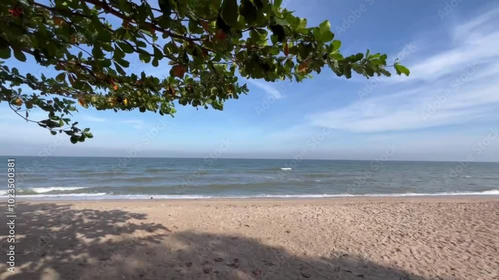 Serene Beachscape Under Canopy: Tranquil coastal scene with a gently swaying tree branch providing shade over a pristine sandy beach, the calm ocean stretching to the horizon under a clear sky.