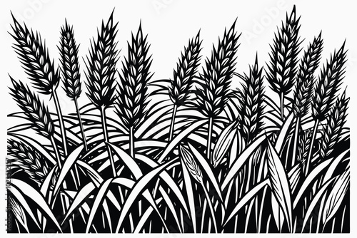 a lot of Wheat on white background B.eps