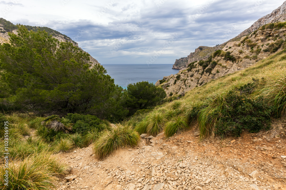 Obraz premium Paesaggio spettacolare dal Mirador del Colomer a Maiorca in Spagna