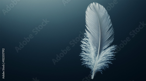 Isolated white feather on a dark gray background photo