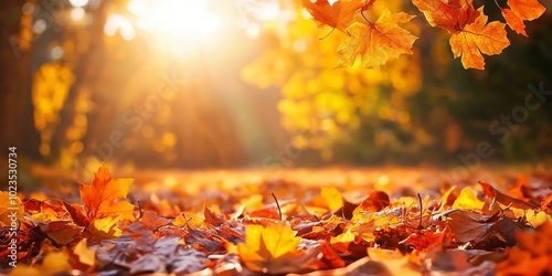 Golden autumn leaves litter a sunlit forest floor in a vibrant and warm natural setting, epitomizing seasonal change. photo