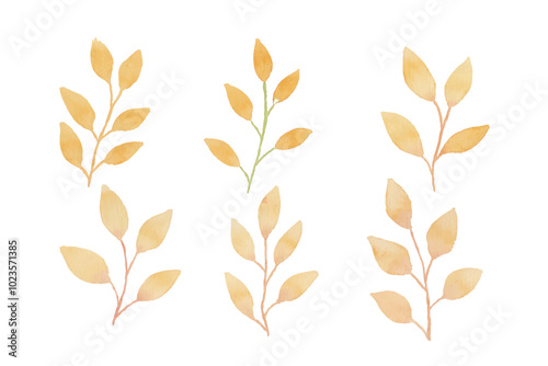 Assortment of watercolor leaves illustration set - green leaf branches collection for wedding, greetings, stationary, wallpapers, fashion, background. olive, green leaves, Eucalyptus etc