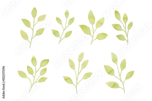 Assortment of watercolor leaves illustration set - green leaf branches collection for wedding, greetings, stationary, wallpapers, fashion, background. olive, green leaves, Eucalyptus etc