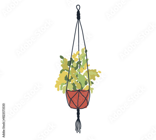 Macrame hanging plant in pot. Garden house indoor hanger flowerpot. Hanging home plant for interior decor. Vector flat illustration
