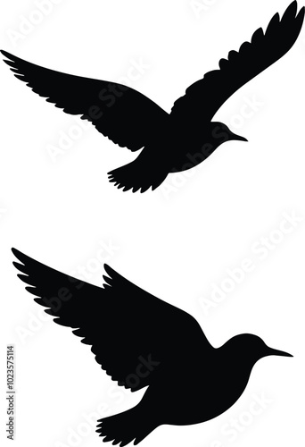 Flying Bird’s Silhouettes for Creative Design Illustration