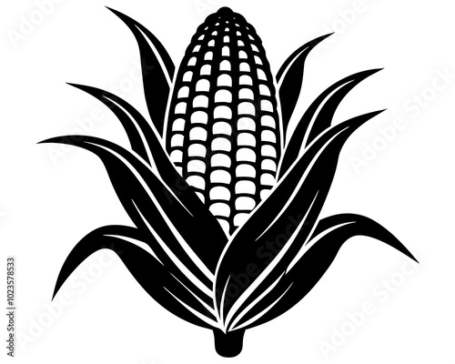 Corn silhouette,Corn vector illustration