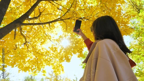 Girl shoots photo on smartphone beautiful yellow leaves on tree in fall. Girl in white coat with smartphone in hands. It's golden autumn time