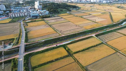 하늘에서 본 추수를 앞둔 가을 경작지 photo