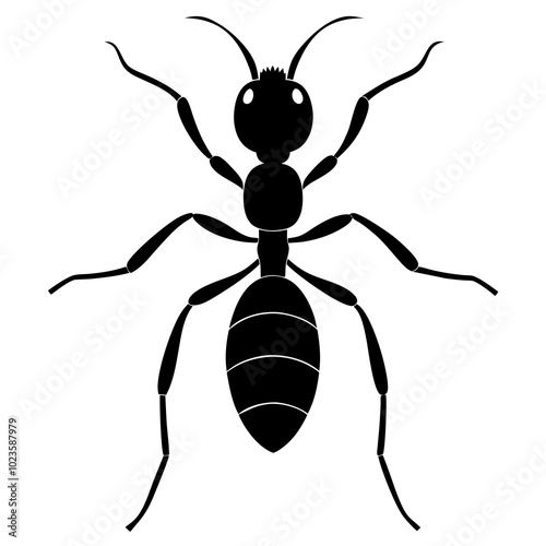 Insect vector 